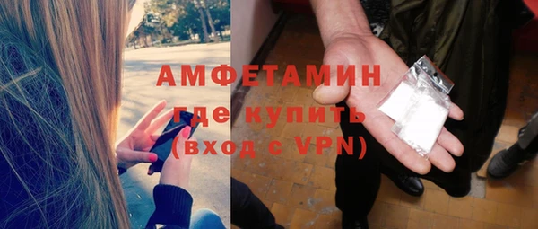 хмурый Алексин
