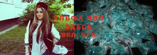 хмурый Алексин